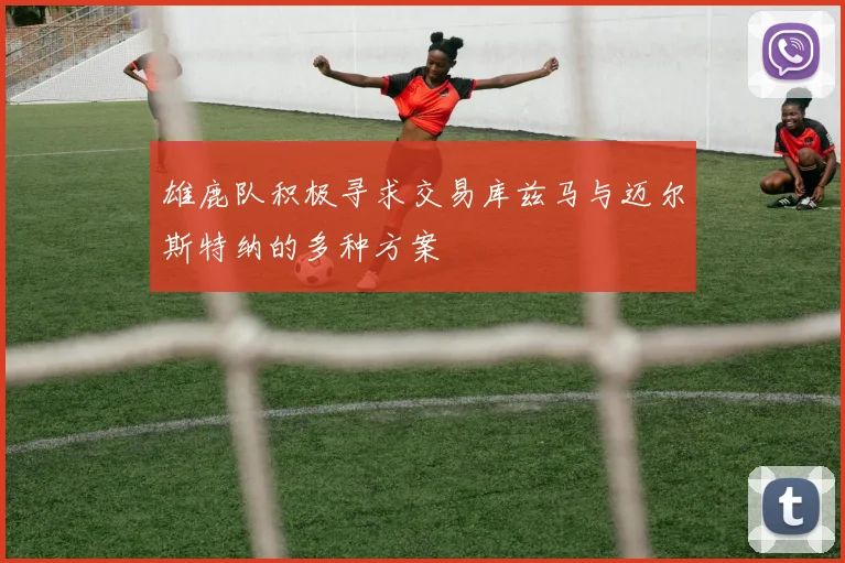 雄鹿队积极寻求交易库兹马与迈尔斯特纳的多种方案